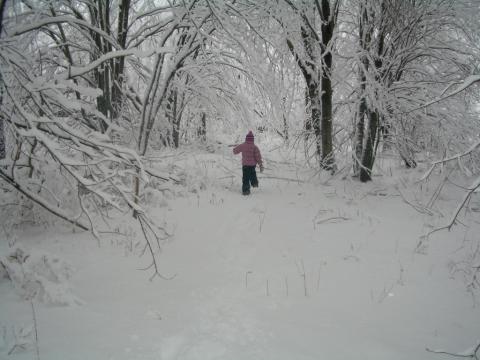 20070407 020