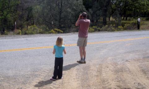 Checking Goldfinch Field Marks