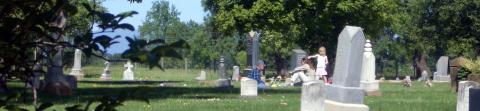 In the Cottonwood Cemetary