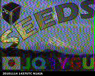 SEEDS, November 14, 2010