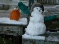 Thanksgiving Snowman