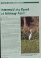 nab-egret