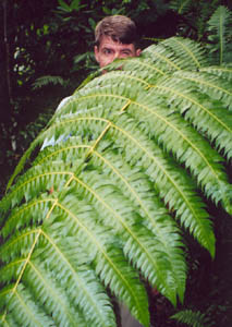 s_elyunque