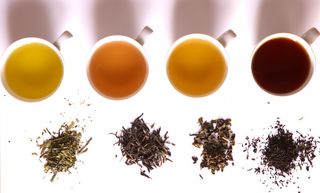 Four cups of tea and their constituent leaves, from above. Steeped hues are golden green, reddish brown, golden brown, and dark brown.