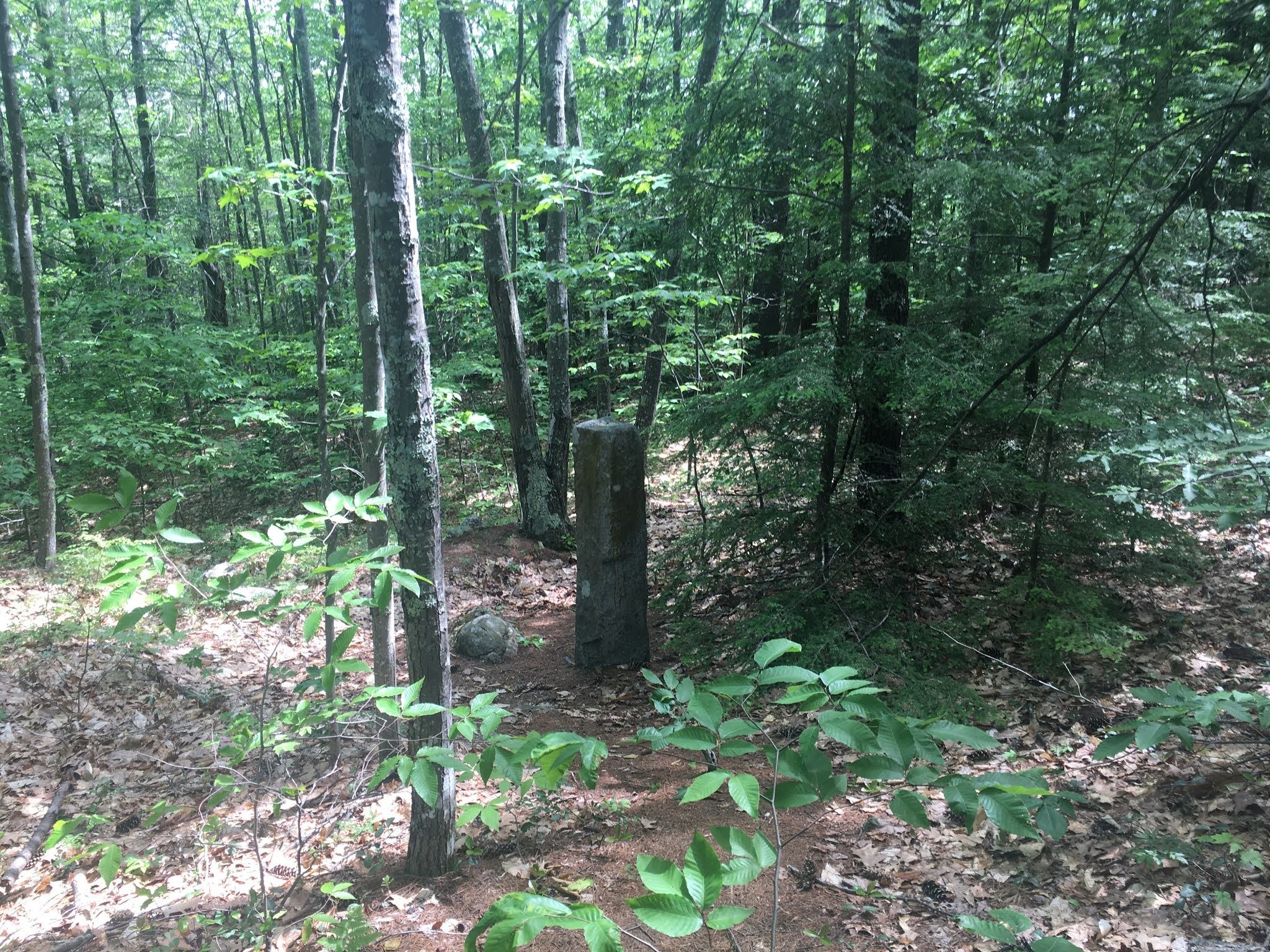 A stone pillar among small trees.