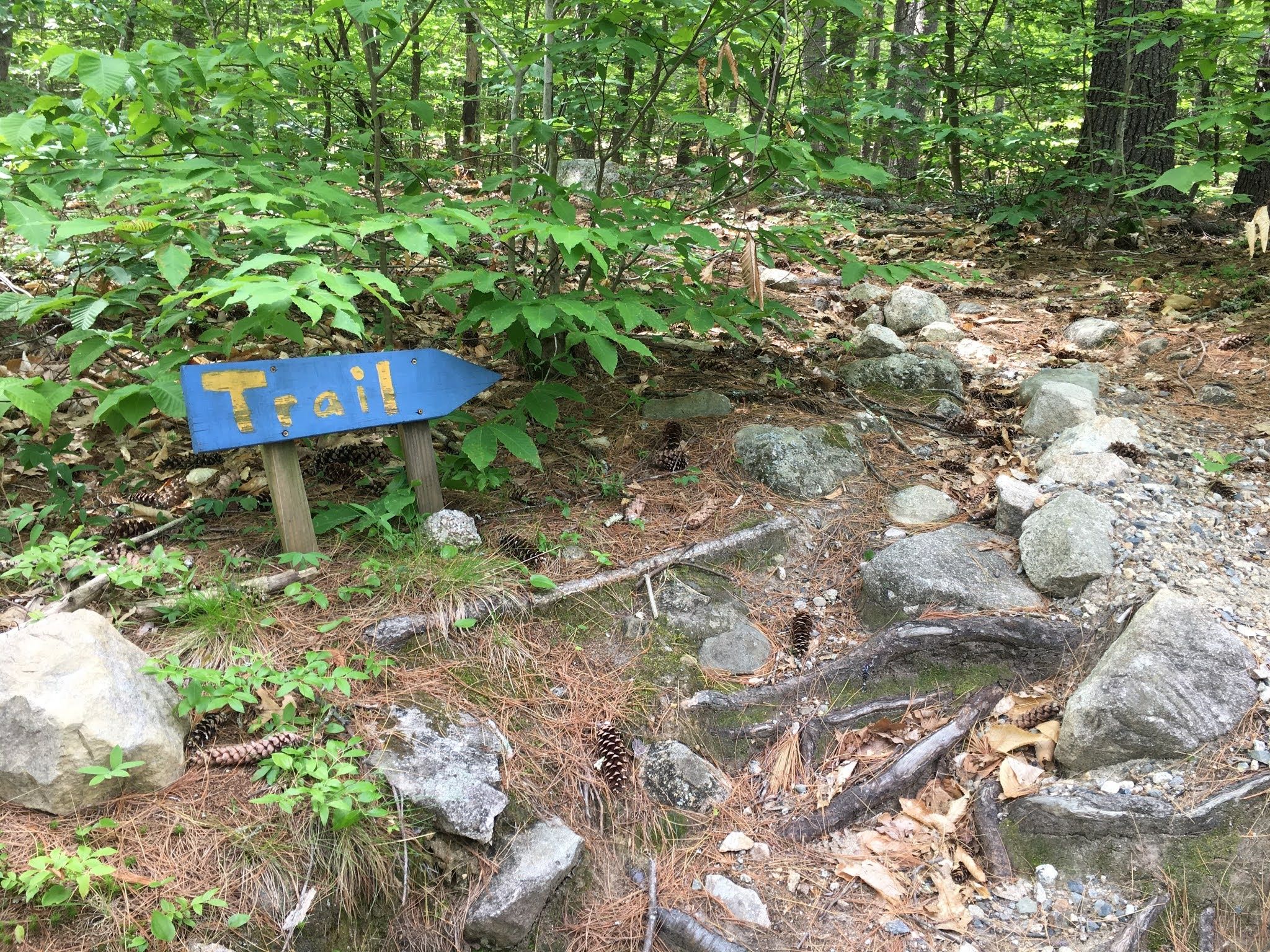 Small hand-painted sign that says, simply, Trail.