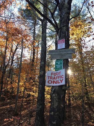 Signs on tree trunks. Among them one reads "Foot Traffic Only."