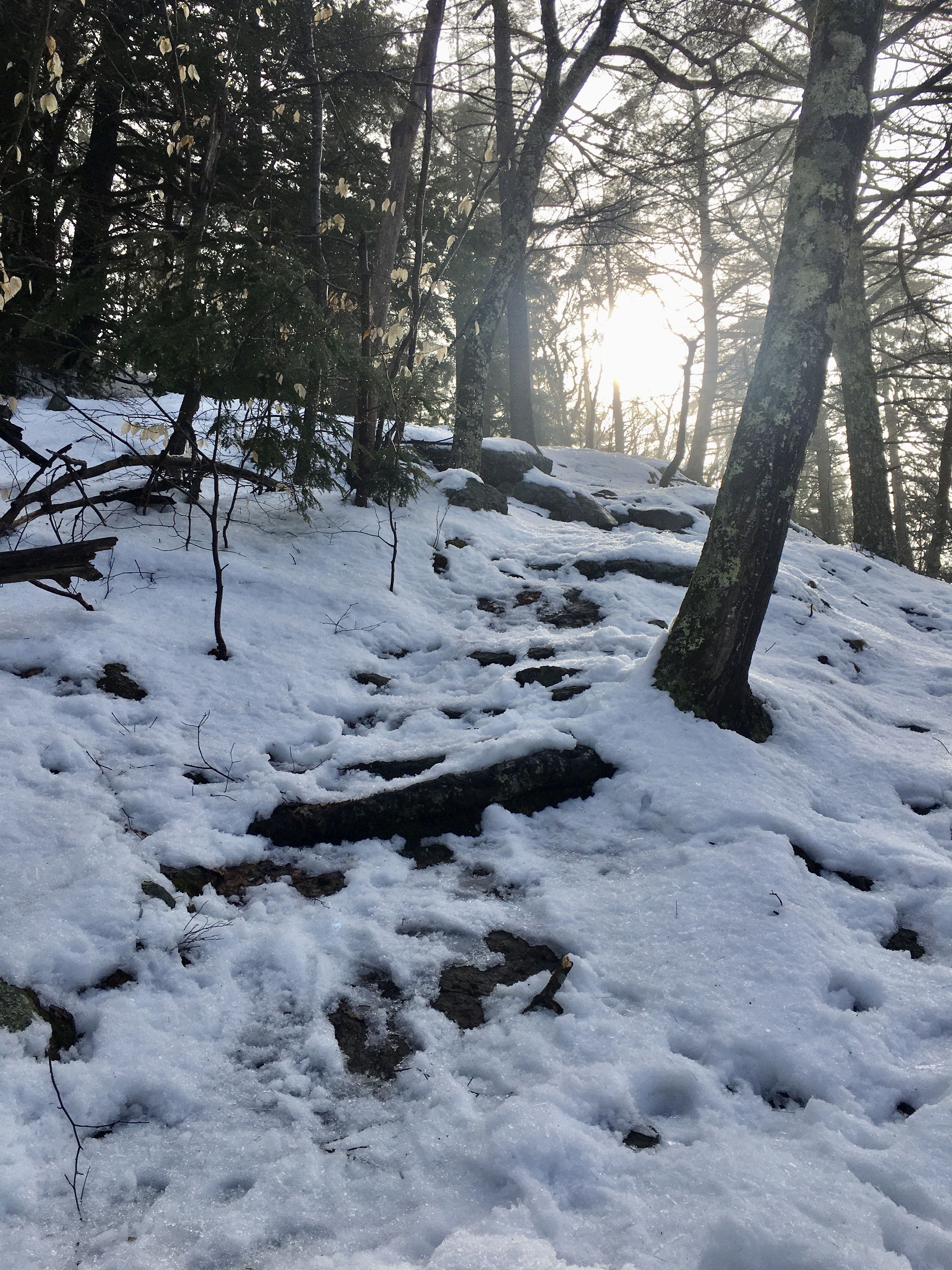 A rising, snow-covered trail through trees, with the sun ahead.