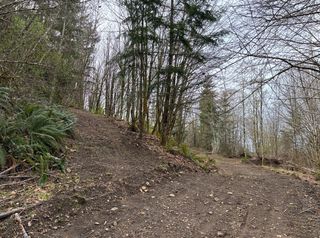 A dirt road splits off from another dirt road and gains elevation.